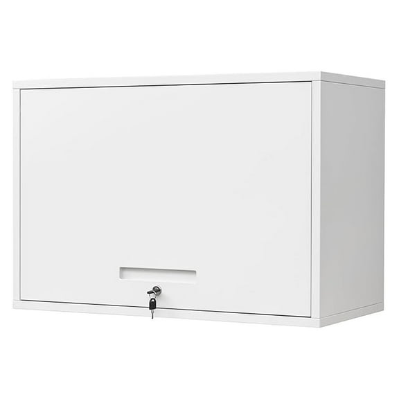 Metal Wall Cabinet with Doors and Shelves, Floating Storage Unit for Garage or Basement (White, 21.6" H)