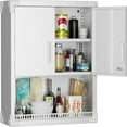 Metal Wall Storage with Adjustable Shelf Locking Door and
