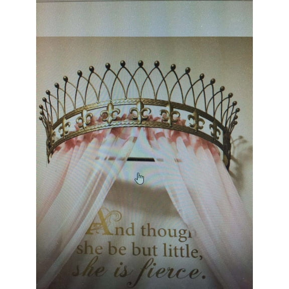 Metal Wall Teester/Bed Crown - Available in 18 Different Colors Custom paint Not Eligible for Return