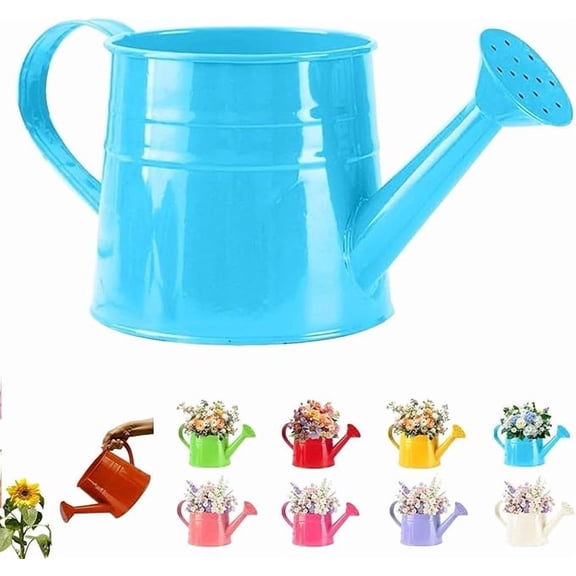Metal Watering Can, 1 Gallon Capacity Galvanized Metal Watering Cans with Sprinkler Head, Vintage Sprinkling Can for Indoor Outdoor Plants, Flowers, Garden, Lawn