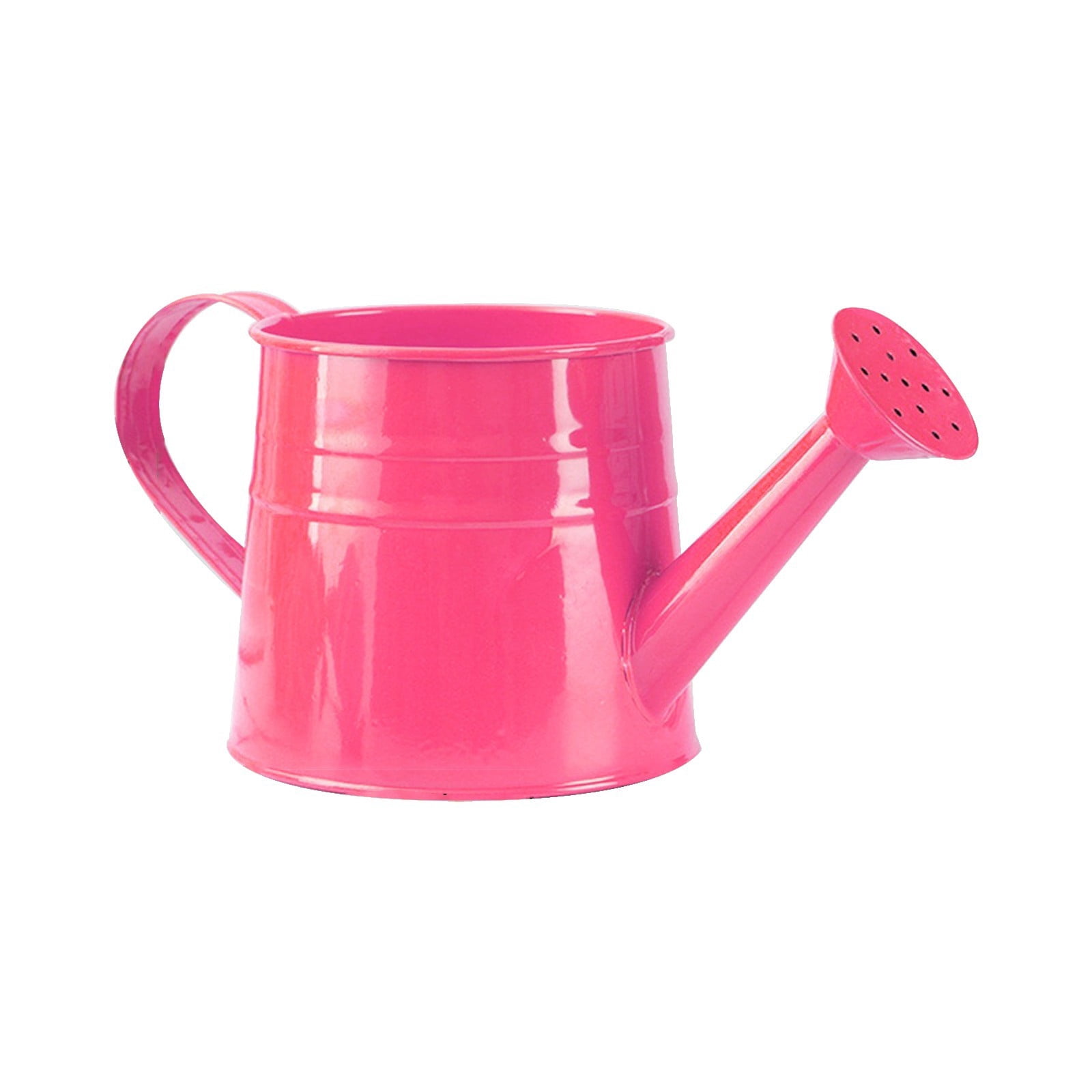 Metal Watering Can 1L Capacity - Durable Gardening Water Can with Comfortable Handle & Precision Spout for Indoor Plants, Outdoor Flowers & Garden Use