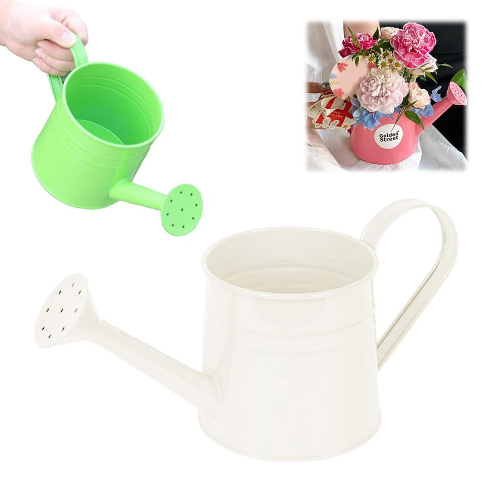 Metal Watering Can, 1L Vintage Sprinkling Can Plant Watering Cans for Outdoor Indoor Plants, Retro Sprinkling Cans for Flowers, Indoor & Outdoor Plants, Lawn & Garden Irrigation Tool - White