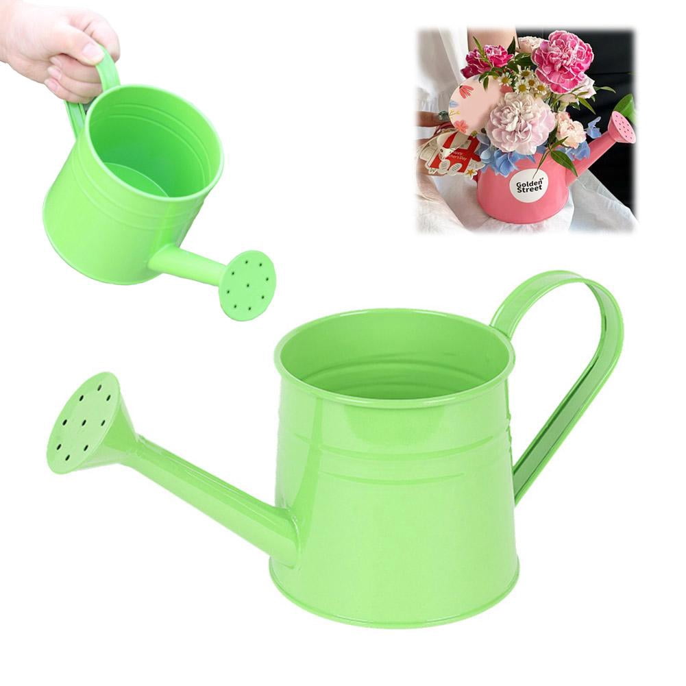 Metal Watering Can, 1L Vintage Sprinkling Can Plant Watering Cans for Outdoor Indoor Plants, Retro Sprinkling Cans for Flowers, Indoor & Outdoor Plants, Lawn & Garden Irrigation Tool - Green