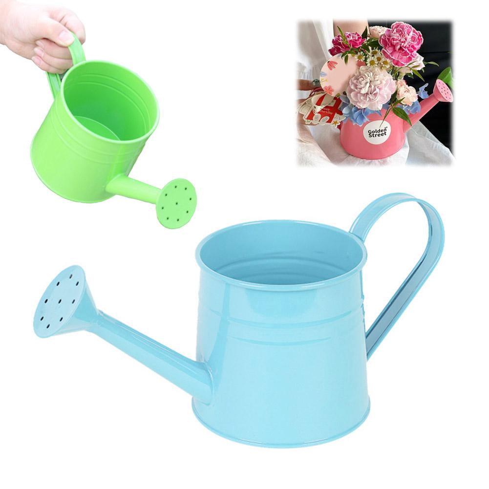 Metal Watering Can, 1L Vintage Sprinkling Can Plant Watering Cans for Outdoor Indoor Plants, Retro Sprinkling Cans for Flowers, Indoor & Outdoor Plants, Lawn & Garden Irrigation Tool - Blue