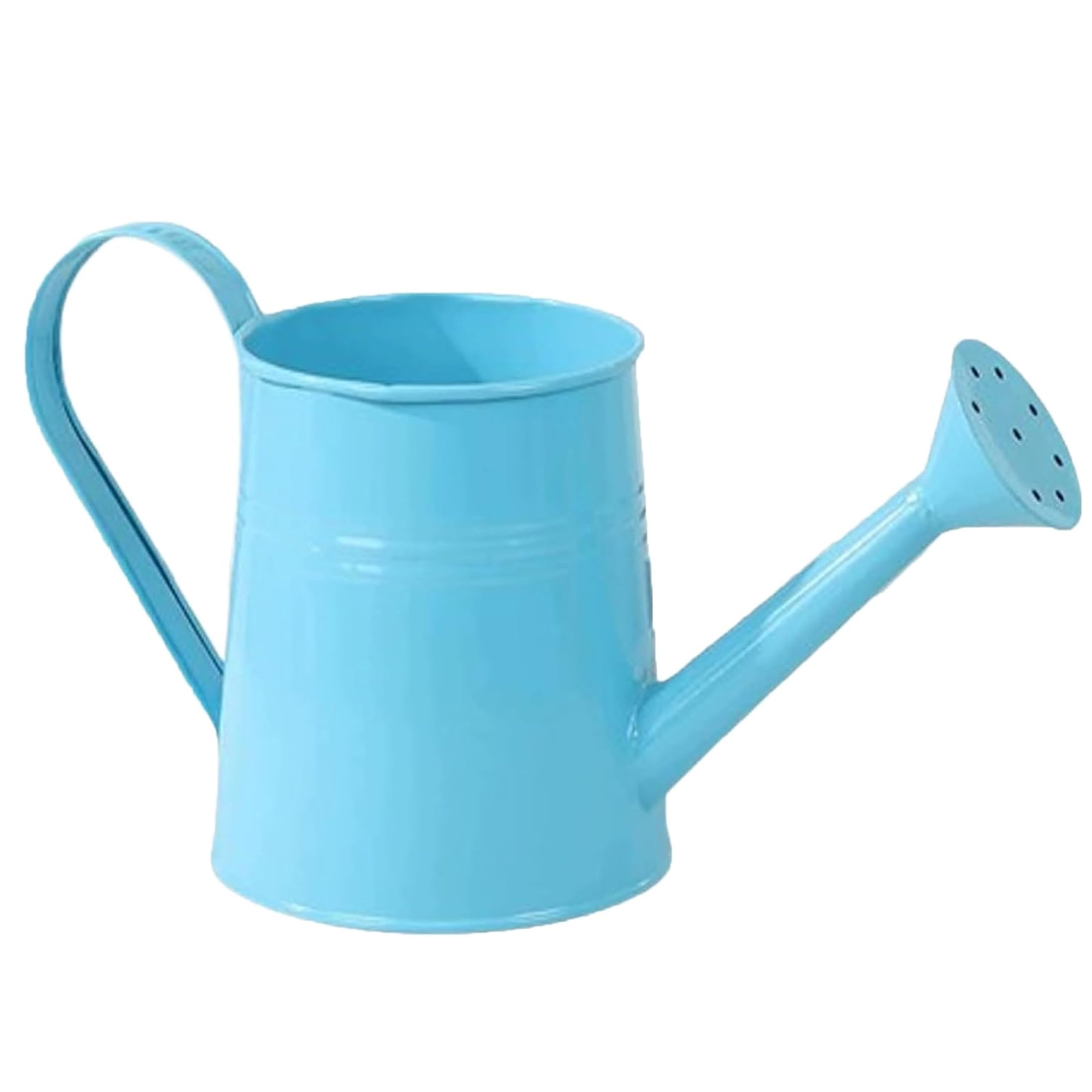 Metal Watering Can, Durable Gardening Tool with Sprinkler Head for Indoor Outdoor Plants Lawn Garden