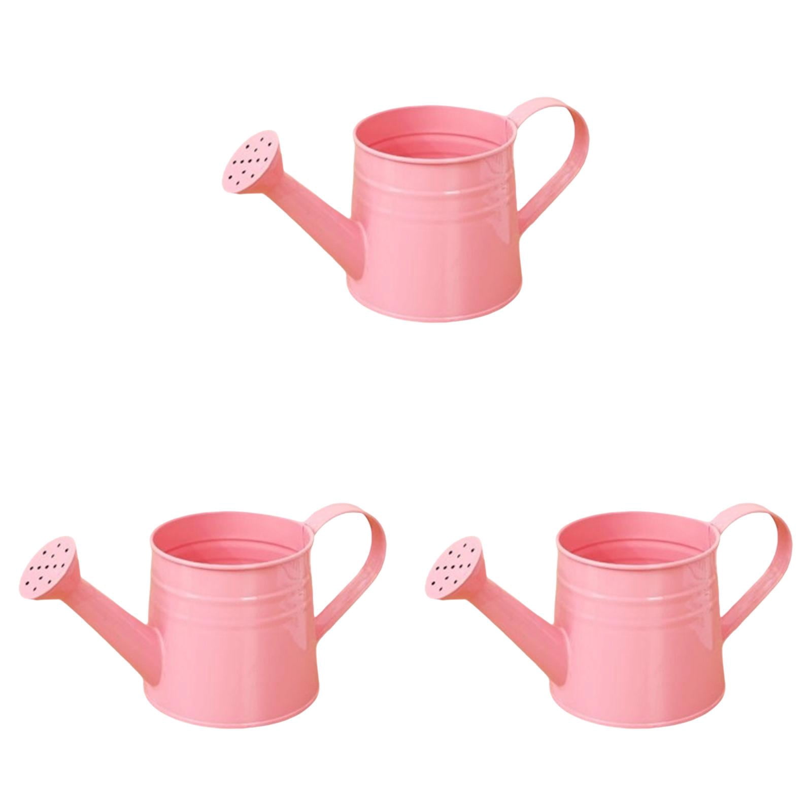 Metal Watering Can for Garden and Indoor Plants, Sprinkling Can for Outdoor Flowers Lawn, Gardening Tool Accessories for Watering, Rust Resistant 3 Pcs