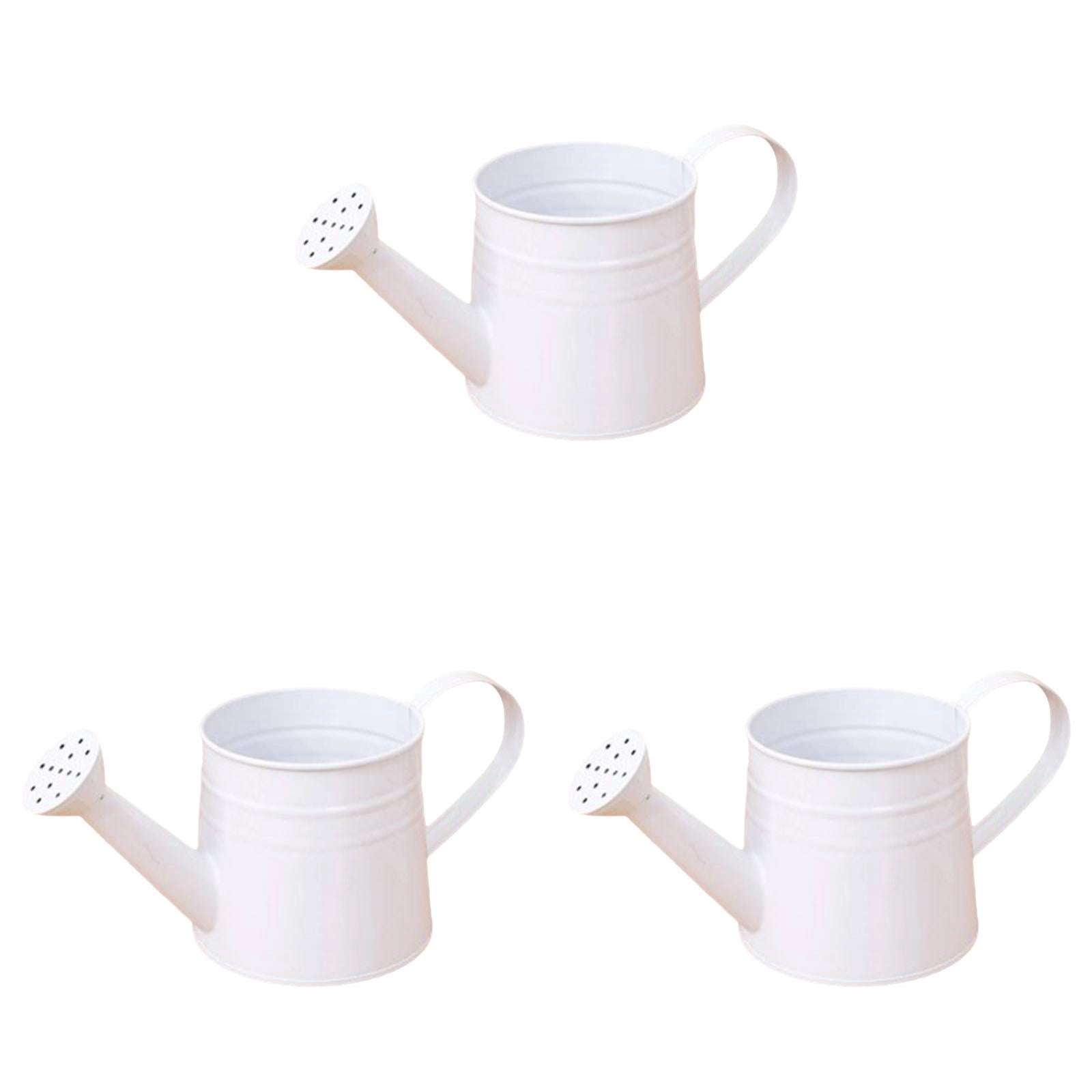 Metal Watering Can for Garden and Indoor Plants, Sprinkling Can for Outdoor Flowers Lawn, Gardening Tool Accessories for Watering, Rust Resistant 3 Pcs
