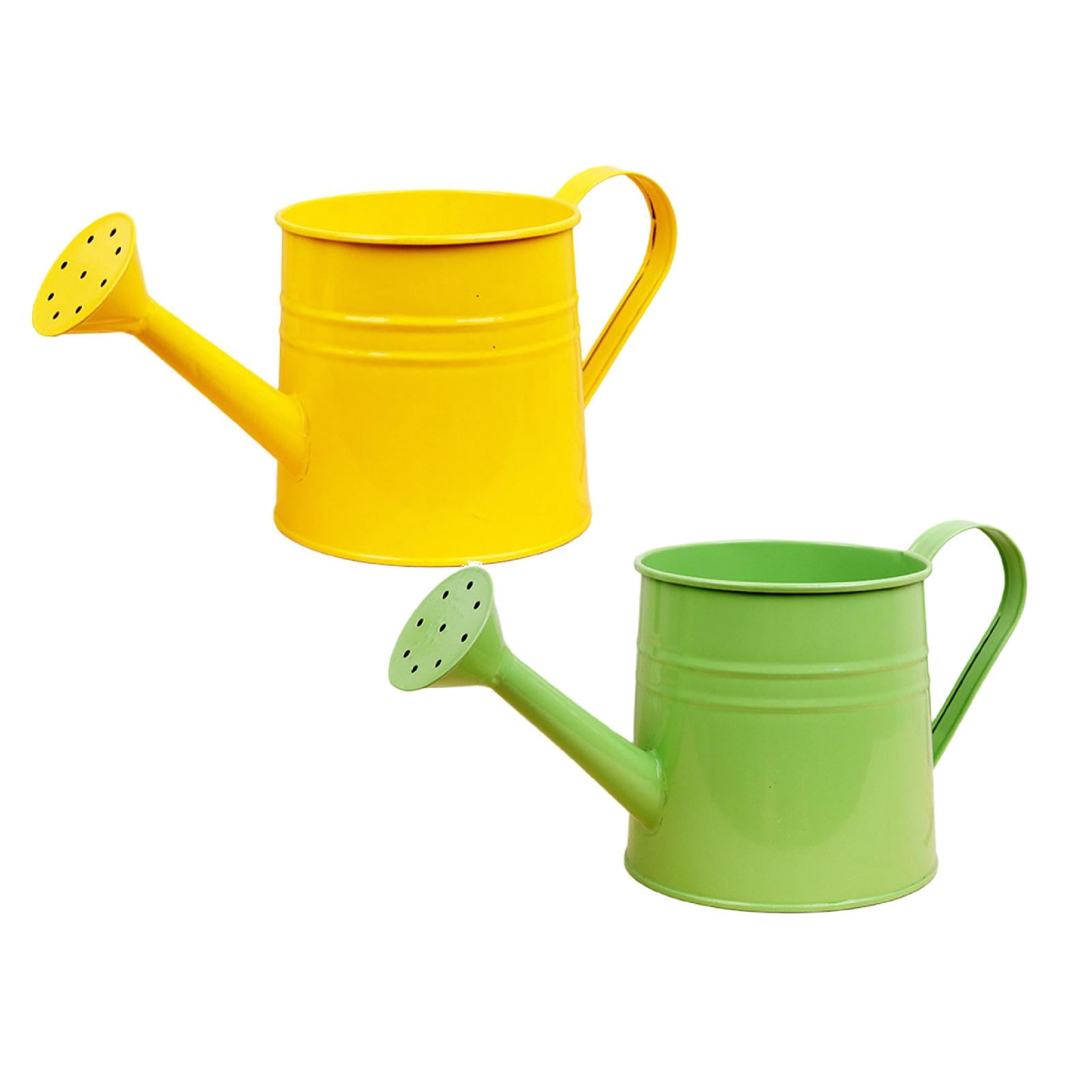 Metal Watering Can for Indoor 1L, Vintage Garden Sprinkling Can with Long Spout, Tinplate Watering Kettle Gardening Tool for Outdoor Lawn Flower Care
