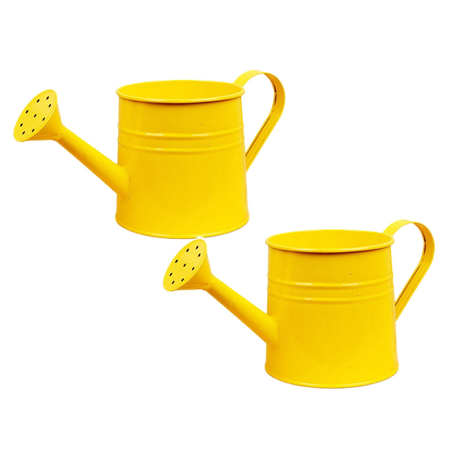 Metal Watering Can for Indoor 1L, Vintage Garden Sprinkling Can with Long Spout, Tinplate Watering Kettle Gardening Tool for Outdoor Lawn Flower Care