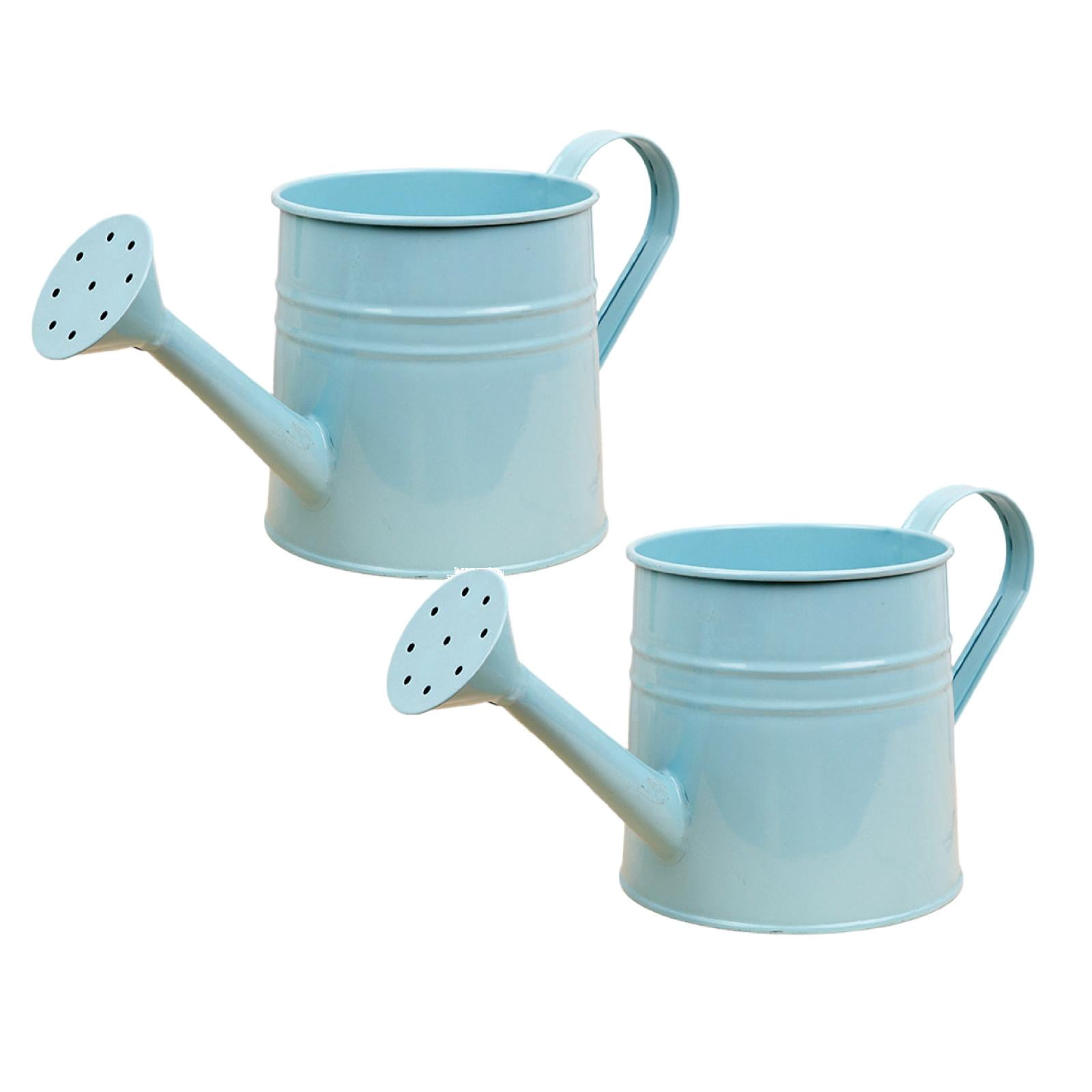 Metal Watering Can for Indoor 1L, Vintage Garden Sprinkling Can with Long Spout, Tinplate Watering Kettle Gardening Tool for Outdoor Lawn Flower Care