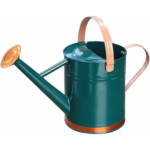 Metal Watering Can, One Gallon Watering Cans Stainless Steel for Outdoor Indoor Garden Plants Watering (One Gallon Green Decorative Strip)