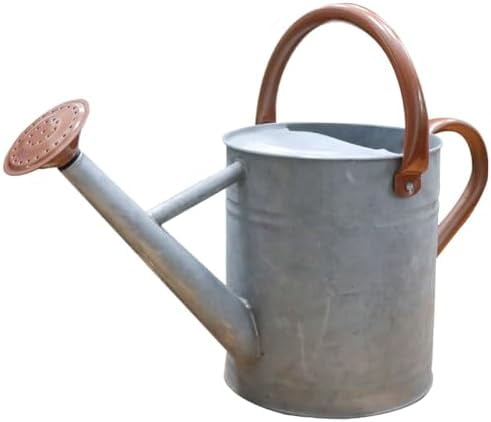 Metal Watering Can, One Gallon Watering Cans Stainless Steel for Outdoor Indoor Garden Plants Watering (Zinc 1 Gallon)