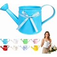 thumbnail image 1 of Metal Watering Can with Ribbon Bow,1 Gallon Watering Can Metal,Vintage Sprinkling Tin Watering Can for Indoor Outdoor Plants, Galvanized Steel Watering Cans for Flower, 1 of 5