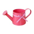 thumbnail image 1 of Metal Watering Can with Ribbon Bow,1 Gallon Watering Can Metal,Vintage Sprinkling Tin Watering Can for Indoor Outdoor Plants, Galvanized Steel Watering Cans for Flower, 1 of 4