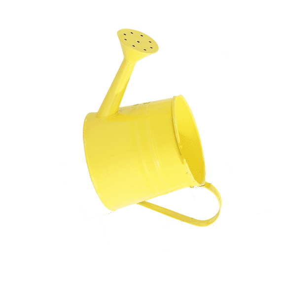 Metal Watering Can Small Garden Watering Can with Comfortable Handle Long Spout Watering Can for Indoor Outdoor
