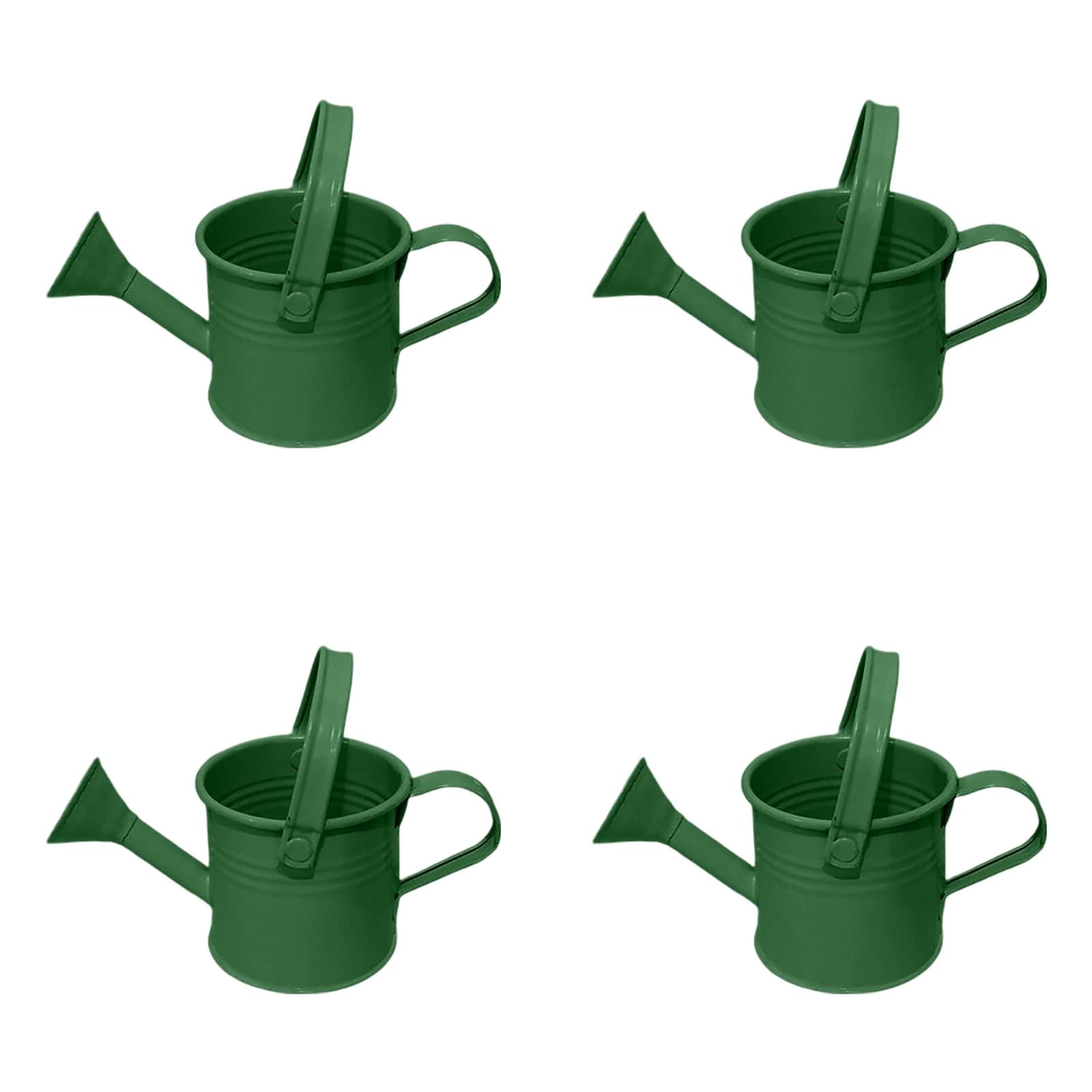 Metal Watering Can for Flower Watering Pot with Long Spout, Portable for Indoor and Outdoor Care, Home Garden Tool, Balcony, Patio, Greenhouse