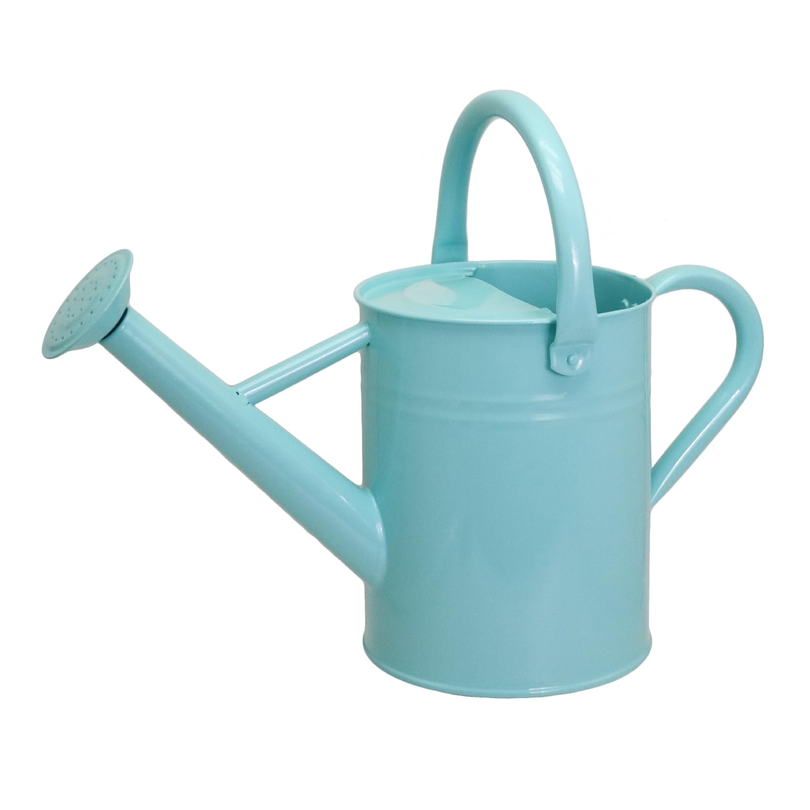 Metal Watering Can for Outdoor Plants, Galvanized Steel Watering Can with Removable spout, 1 Gallon,Perfect Home & Garden Décor Cream Green - MINT