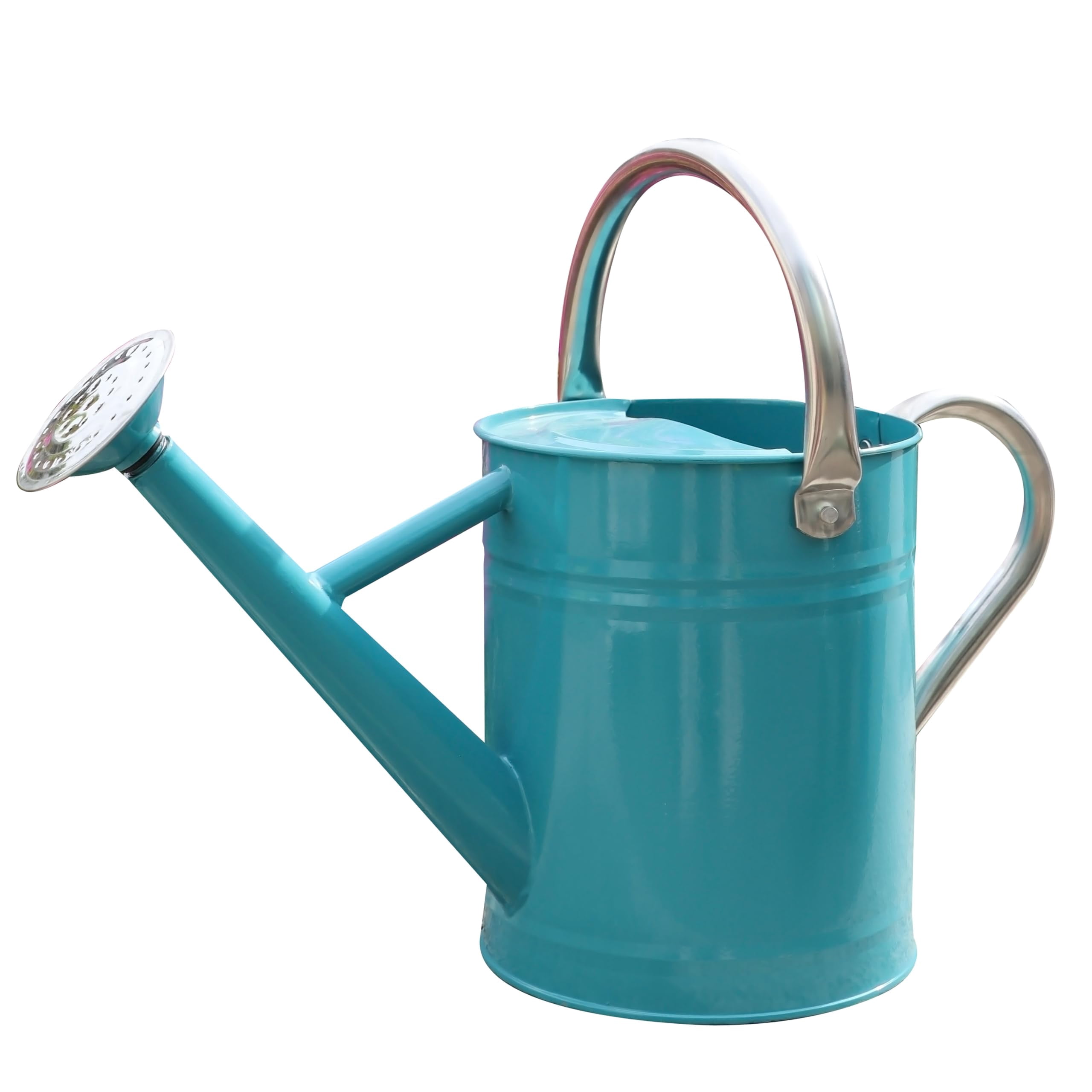 Metal Watering Can for Outdoor and Indoor Plants, Watering Can Decor, 1 Gallon - 006 LEAF GREEN