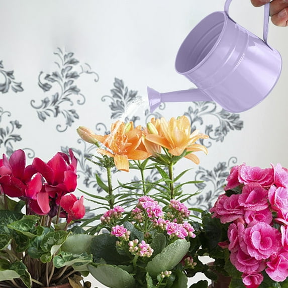 Metal Watering Can for Plants Indoor Outdoor Garden Vintage Iron Kettle 1.5L Capacity with Floral Decorative