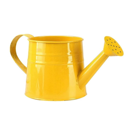 Metal Watering Can with Long Spout Large Capacity for Indoor and Outdoor Garden Plant Irrigation Use