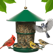 Anpro Metal Bird Feeder for Outside Hanging, Retractable Squirrel Proof 5lb Capacity Bird Feeders, for Outdoors Hanging Garden Yard, Green