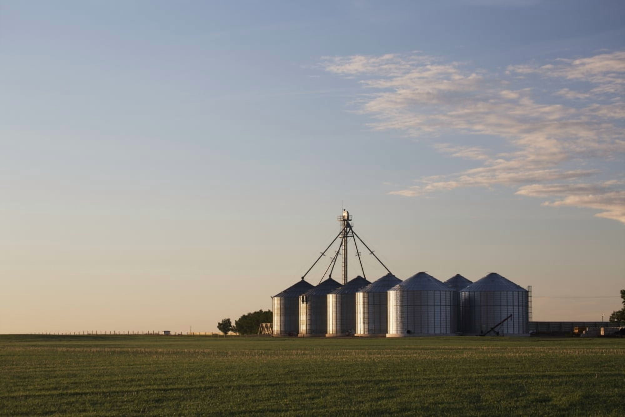 Metal grain bins reflecting sunrise in an early growth grain field with clouds and blue sky Alberta Canad Canvas Art - Michael Interisano Design Pics (19 x 12)