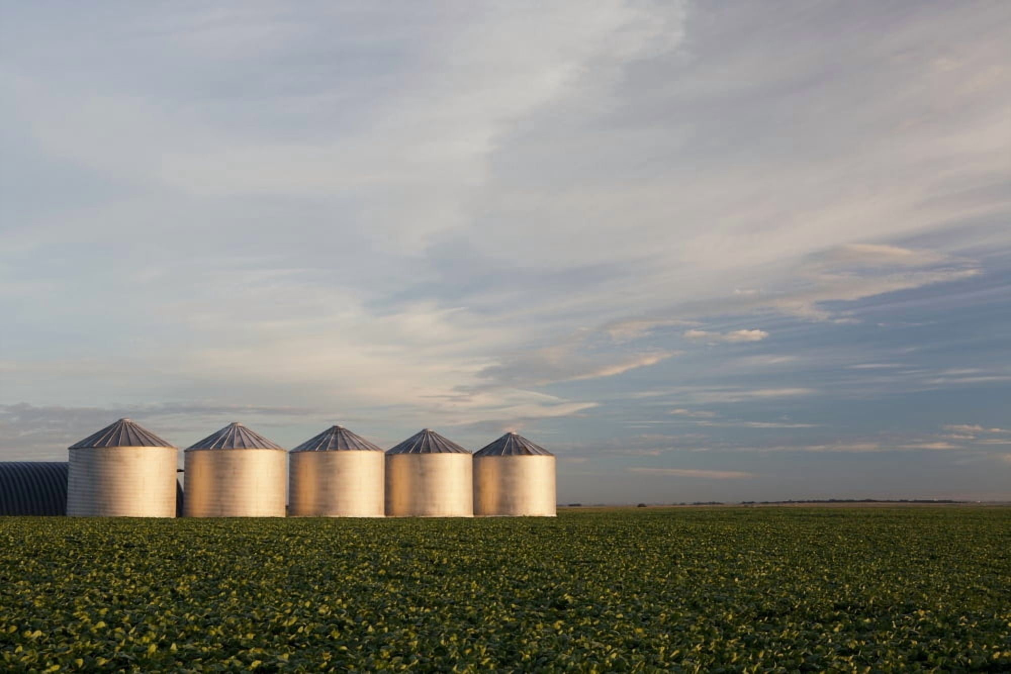 Metal grain bins reflecting sunrise in a mid growth canola field with clouds and blue sky Alberta Canada Canvas Art - Michael Interisano  Design Pics (19 x 12)