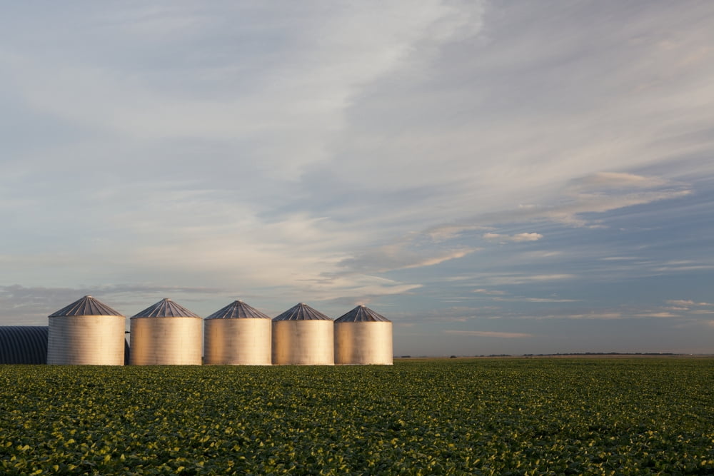 Metal grain bins reflecting sunrise in a mid growth canola field with clouds and blue sky Alberta Canada Canvas Art - Michael Interisano Design Pics (38 x 24)