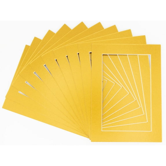 Metallic Gold Acid Free 22x28 Picture Frame Mats with White Core Bevel Cut for 20x24 Pictures -