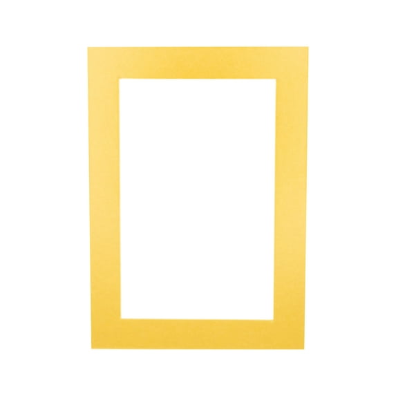 Metallic Gold Acid Free 28x40 Picture Frame Mats with White Core Bevel Cut for 24x36 Pictures -