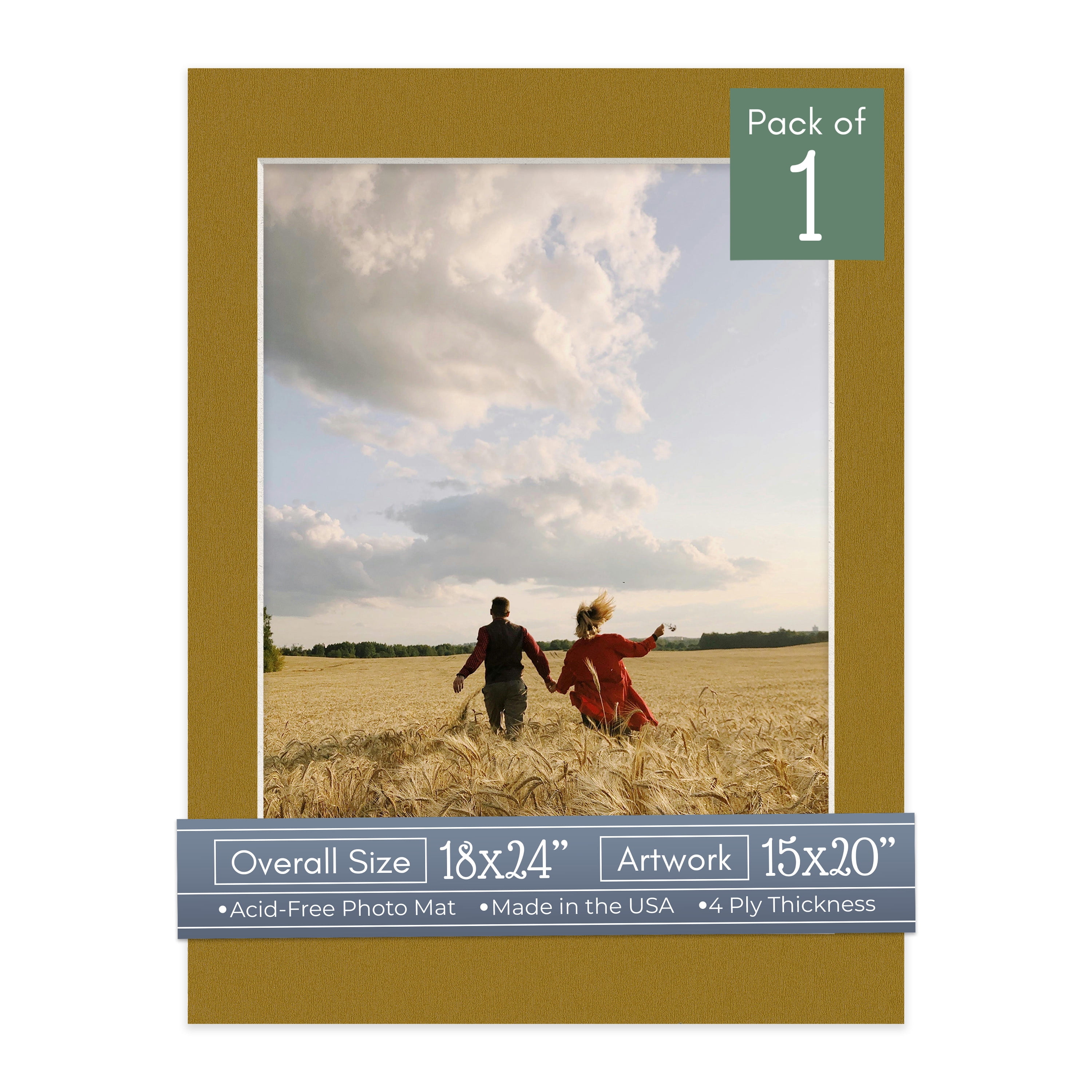 Metallic Gold Picture Frame Mat for 18x24 Frames - Fits 15x20 Photos - 1 Mat