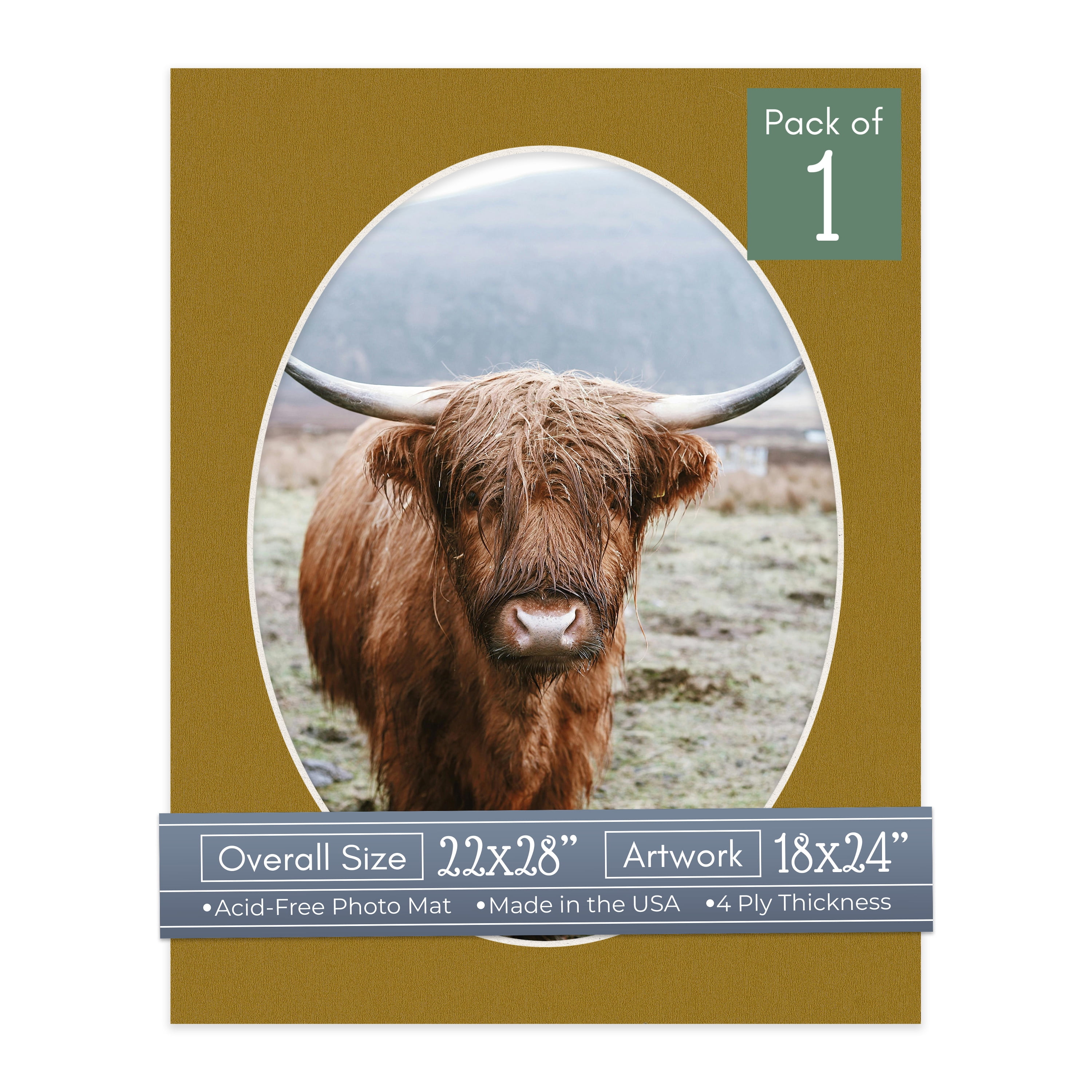 Metallic Gold Picture Frame Mat for 22x28 Frames - Oval Opening for 18x24 Photos - 1 Mat