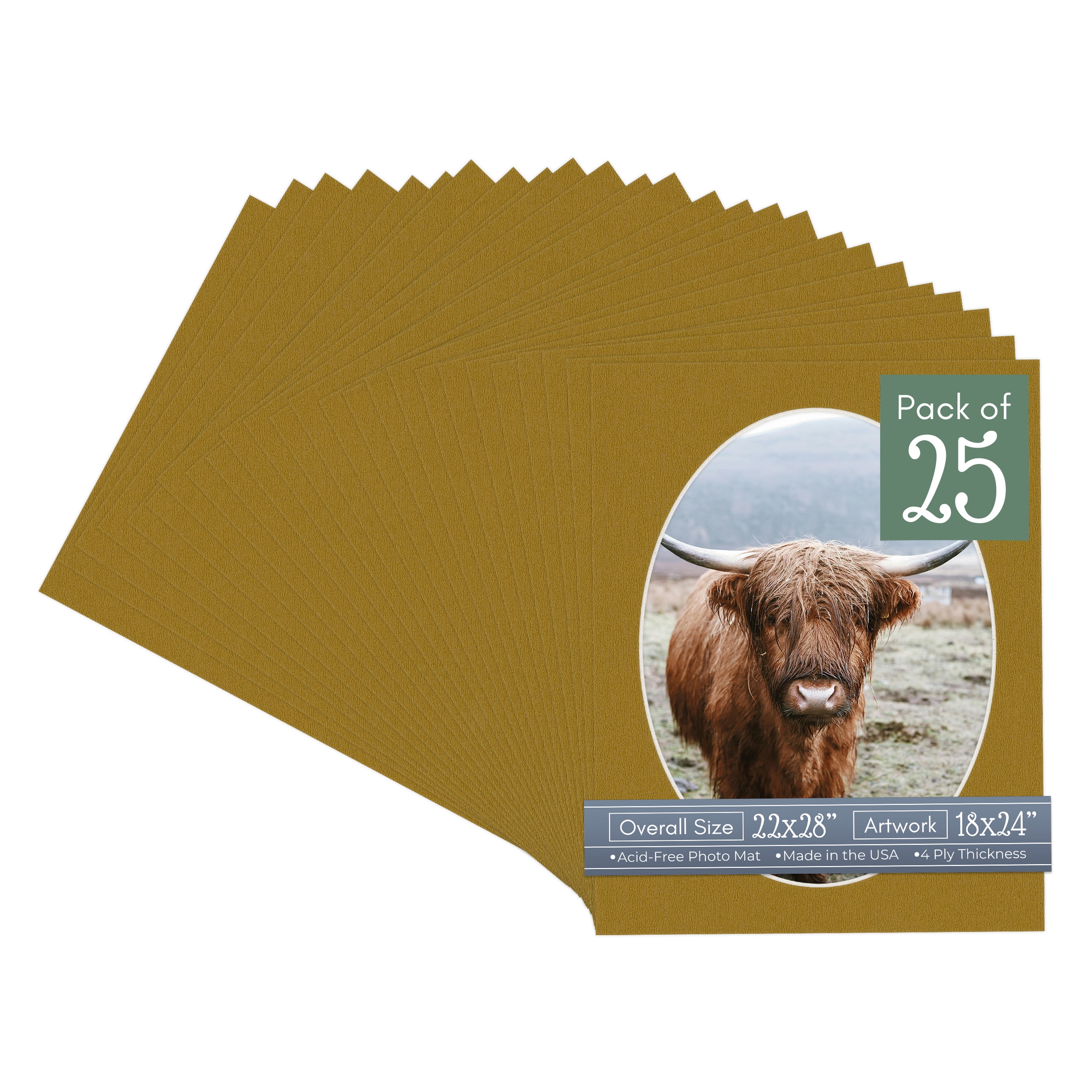 Metallic Gold Picture Frame Mat for 22x28 Frames - Oval Opening for 18x24 Photos - 25 Mats