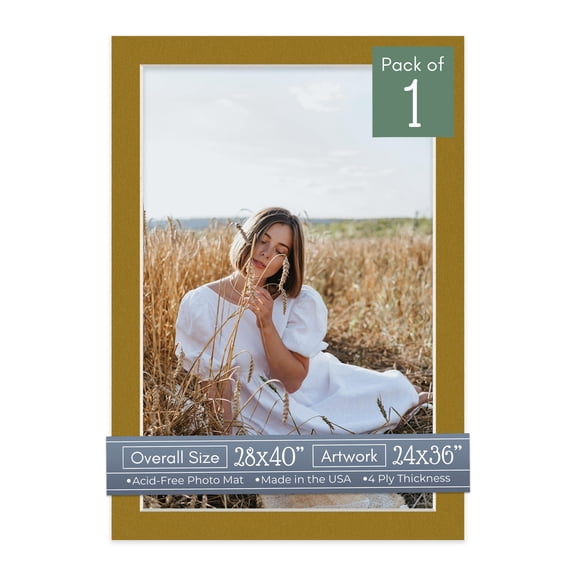 Metallic Gold Picture Frame Mat for 28x40 Frames - Fits 24x36 Photos - 1 Mat