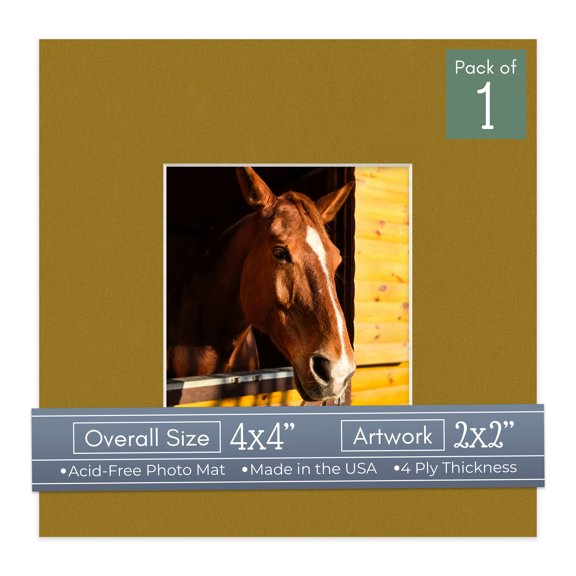 Metallic Gold Picture Frame Mat for 4x4 Inch Frames - Fits 2x2 Photos - 1 Mat