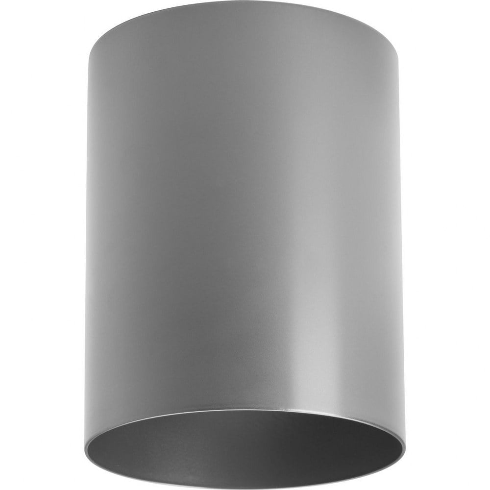 Metallic Gray Aluminum LED Indoor/Outdoor Flush Mount Cylinder
