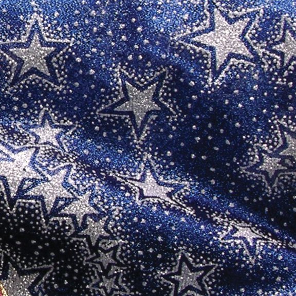 Metallic Navy Blue and Silver Stars Wired Craft Ribbon 6" x 20 Yards