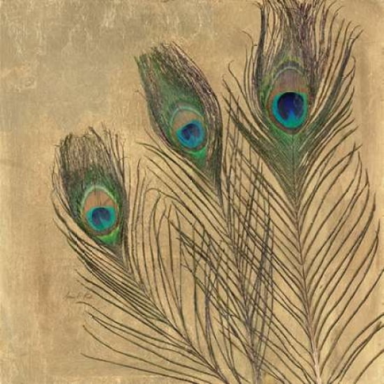 Metallic Peacock Feathers Canvas Art - Arnie Fisk (24 x 24)