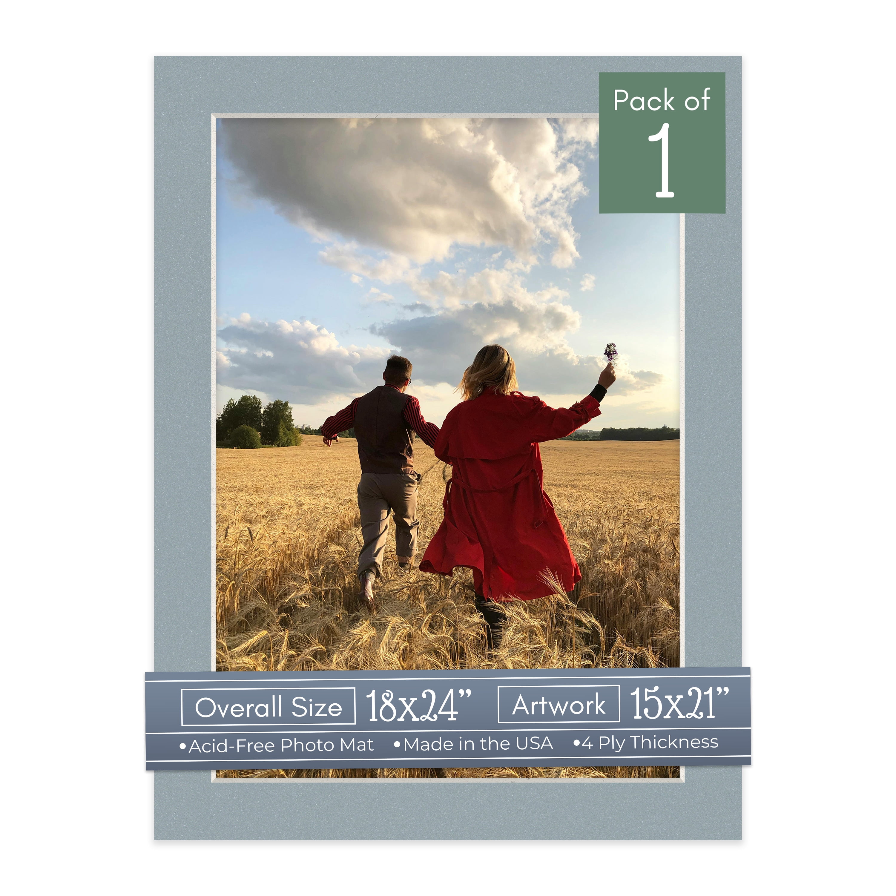 Metallic Silver Picture Frame Mat for 18x24 Frames - Fits 15x21 Photos - 1 Mat