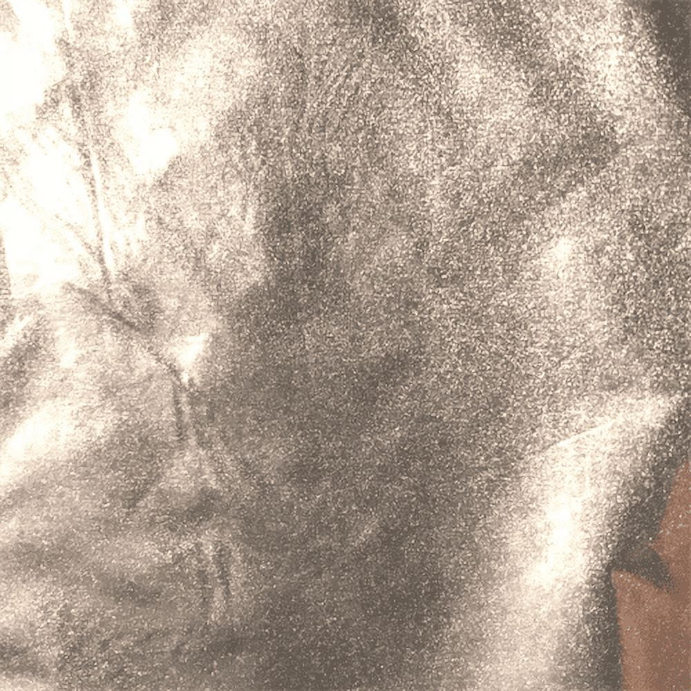 Metallic Silver Polyester Rainwear, Fabric By the Yard