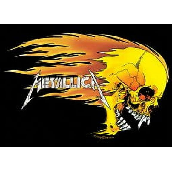 Metallica Poster Skull Fire New 24x36