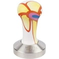 thumbnail image 1 of Metallurgica Motta 58mm Flower Coffee Tamper With Stainless Steel Flat Base, 1 of 2