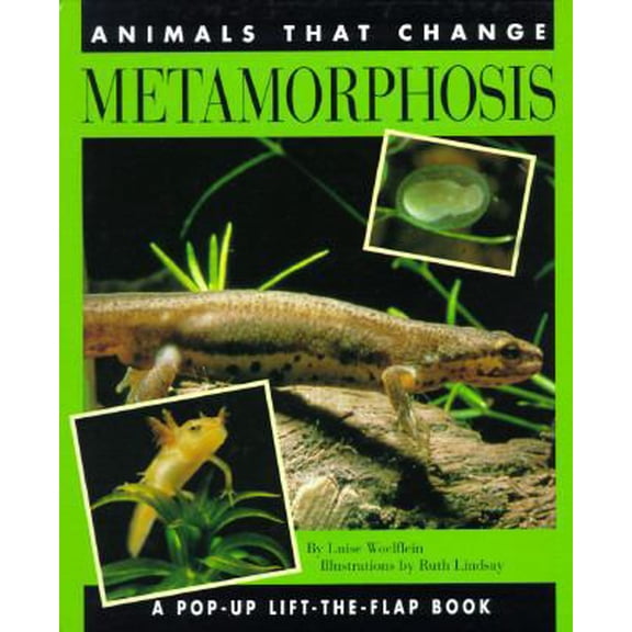 Pre-Owned Metamorphosis: 9Animals that Change (Lift-the-Flap) (Hardcover) 0525674969 9780525674962