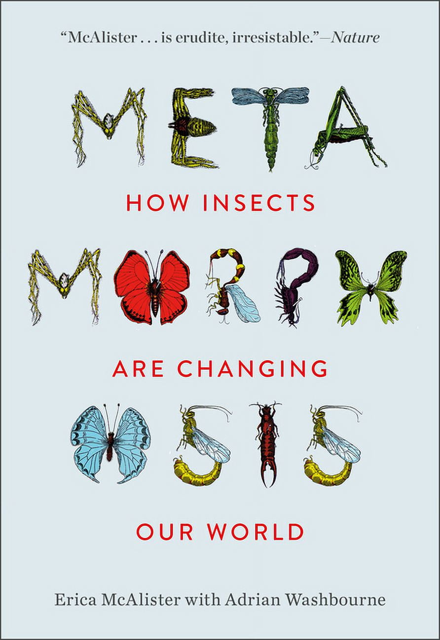 Metamorphosis : How Insects Are Changing Our World (Hardcover)