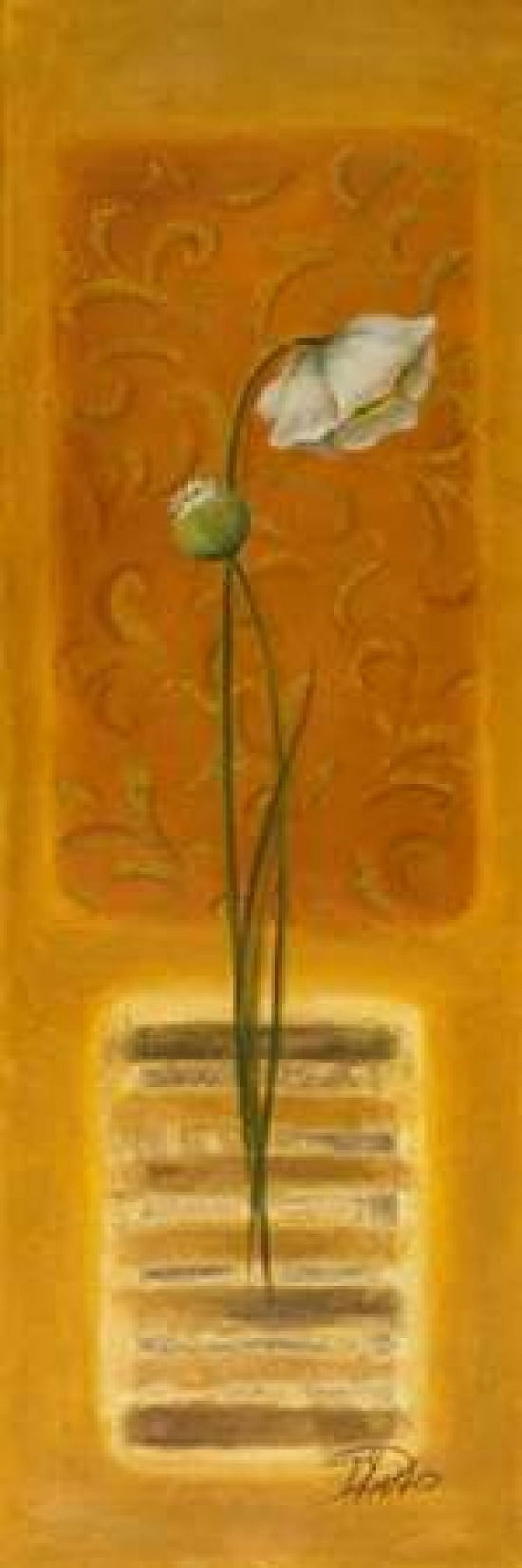 Metamorphosis I Canvas Art - Patricia Pinto (12 x 36)