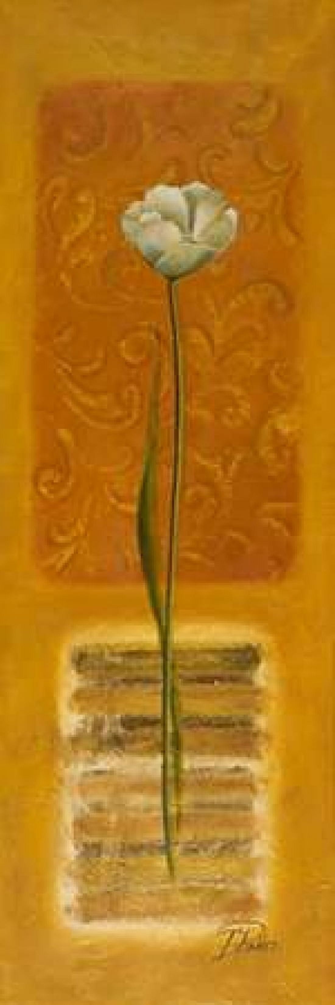 Metamorphosis II Canvas Art - Patricia Pinto (12 x 36)