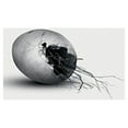 thumbnail image 1 of Hesychia - Metanoia - Electronica - CD, 1 of 2