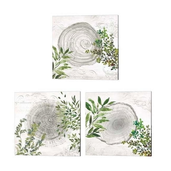 Aimee Wilson 'Eco' Canvas Art (Set of 3)