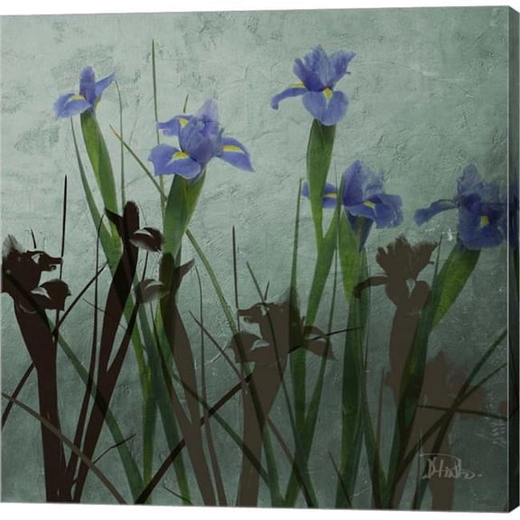 Metaverse C870472-0120000-AAAACMA Blue Irises I by Patricia Pinto Canvas Wall Art - 12 x 12 in.
