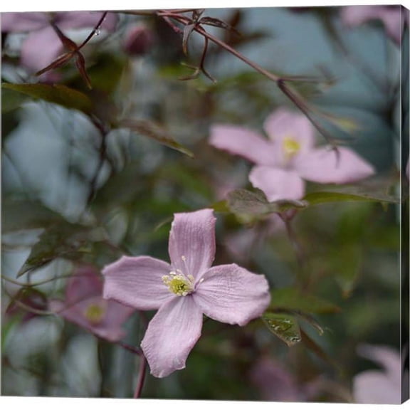Metaverse C910712-0120000-AAAACMA Springtime I by Sarah Gardner Canvas Wall Art - 12 x 12 in.
